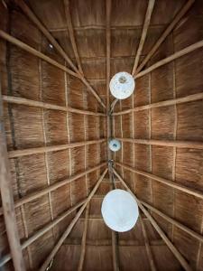 Mynd úr myndasafni af Itzé Hostel í Isla Mujeres