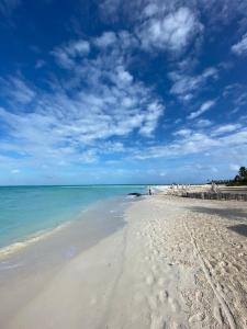 Mynd úr myndasafni af Itzé Hostel í Isla Mujeres