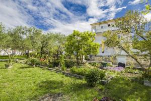 Gallery image of Rooms Padovan in Banjol