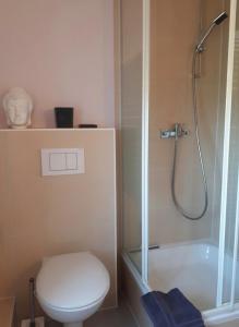 a bathroom with a shower and a toilet and a tub at Altes Bauernhaus im Grünen in Steffenshagen