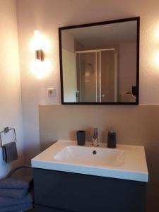 La salle de bains est pourvue d'un lavabo et d'un grand miroir. dans l'établissement Altes Bauernhaus im Grünen, à Steffenshagen