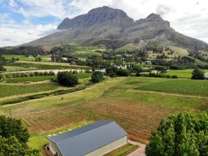 una vista aérea de una granja con una montaña en el fondo en Le Pommier Country Lodge en Stellenbosch