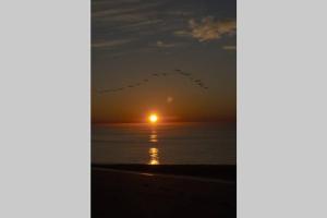 Gallery image of Aqua Haven - Second Street from Beach Home in Holden Beach
