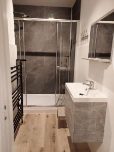 une salle de bain avec douche et lavabo dans l'établissement zeedijk westende, à Middelkerke