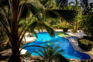 Foto de la galeria de Jaco Hotel DoceLunas a Jacó