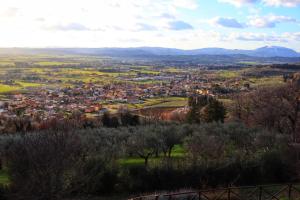 a view of a city from a hill at Villa Clara in Assisi +45 photos