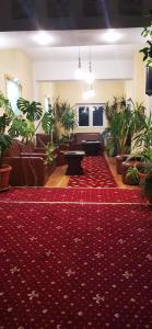 a living room with a red carpet and a room with plants at HOTEL ALL TIMES in Timisul de Jos