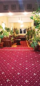 a large room with a red carpet and plants at HOTEL ALL TIMES in Timisul de Jos