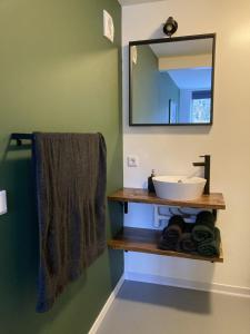 a bathroom with a sink and a mirror at B&B 't Onderkomen in 't Harde