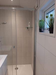 a shower with a glass door and two potted plants at De Woudtplaats in Wolfheze