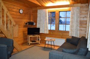 a living room with a couch and a tv in a cabin at Rinnepelto Holiday Cottages in Tahkovuori