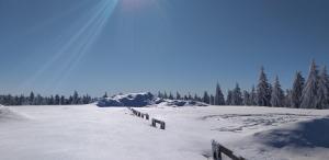 un campo innevato con recinzione e alberi di Pension Berghof a Breitenbrunn