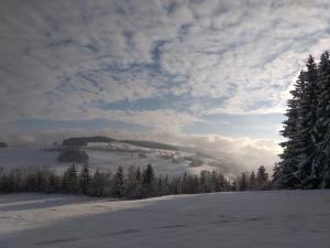 Pension Berghof v zimě