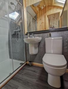 a bathroom with a toilet and a sink and a shower at The Huts at Highside Farm in Keswick