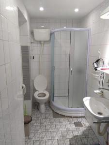 A bathroom at Nemeth Studio & Apartman Palić