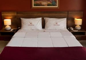 Postel nebo postele na pokoji v ubytování Hotel Central