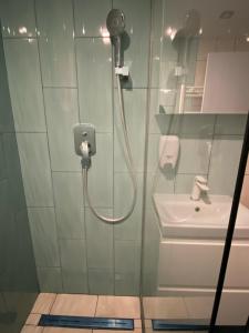 a shower in a bathroom with a toilet and a sink at Center Loft in Buzău