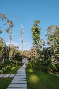 uma passarela num jardim com árvores e relva em Sonora Jungle & Yoga Retreat em Puerto Viejo