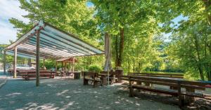 Gorenjcj的住宿－揚科維奇露營地，一群长椅,在树木繁茂的公园里