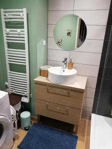 uma casa de banho com um lavatório e um espelho em La Maisonnette au cœur de la plaine em LʼHôpital-le-Grand