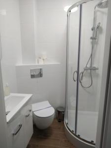 a bathroom with a shower and a toilet and a sink at Karpacz Nad Łomnicą in Karpacz