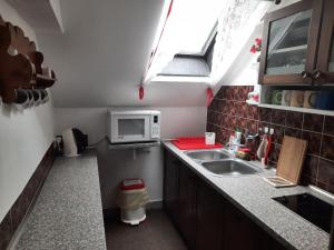 una pequeña cocina con fregadero y microondas en Penzion pod Paprskem, en Ciudad Vieja de Praga