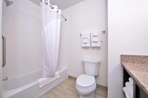 a white toilet sitting next to a shower in a bathroom at Holiday Inn Express Hotels Page, an IHG Hotel in Page
