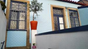 埃斯皮尼奧的住宿－ten2twelve，两扇窗户的房子和花瓶里的植物