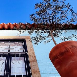 uma árvore em frente a um edifício com janelas em ten2twelve em Espinho