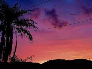 a sunset with a palm tree in the foreground at Tabist Guest house Pumping Surf in Hyuga +139 photos