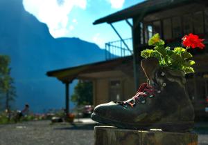 una planta en una bota con una flor en ella en Hotel Waldrand, en Kiental