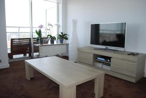 a living room with a tv and a coffee table at Apartment View of Antwerp in Antwerp
