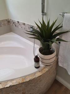 a potted plant sitting next to a bath tub at Langebaan Paradise Beach Self Catering 4 Elara in Langebaan