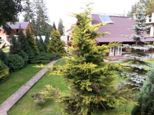 Un árbol de Navidad en el patio de una casa en Cabane- Vila Crinul si Teodor Poiana Brasov, en Poiana Brasov