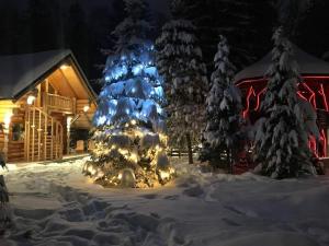 Un árbol de Navidad en la nieve frente a una cabaña en Cabane- Vila Crinul si Teodor Poiana Brasov, en Poiana Brasov