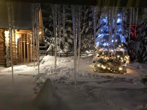 uma árvore de Natal com luzes na neve em Cabane- Vila Crinul si Teodor Poiana Brasov em Poiana Brasov