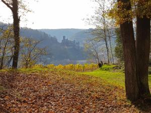 un camino con árboles y un castillo en la distancia en Gemütliche Ferienwohnung am Ortsrand, en Kreuzwertheim