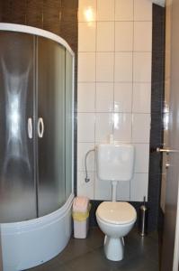 Un baño con inodoro y ducha en Apartments Ante 1306, en Seline 14 fotos más