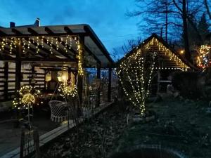a garden with christmas lights in a shed at Apartament Sarco in Vatra Dornei