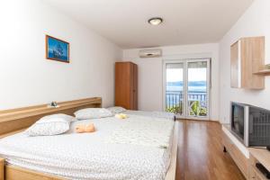 Televízia a/alebo spoločenská miestnosť v ubytovaní Apartments Blaženka