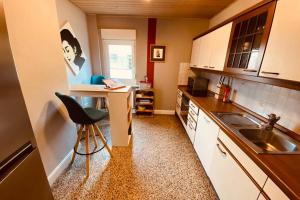 a small kitchen with a sink and a counter at Gemütliche Landhaus Wohnung auf dem Ponyhof - Himmelbett, Kamin & Garten in Ortenberg