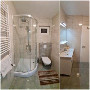uma casa de banho com um chuveiro, um WC e um lavatório. em Kuća za odmor Breza em Legrad
