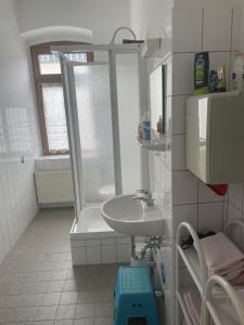 een kleine badkamer met een wastafel en een douche bij Altes Brauhaus in Weißenfels