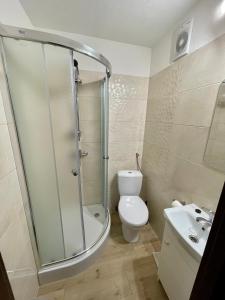 a bathroom with a shower and a toilet and a sink at Dom Wczasowy Anna in Rabka-Zdrój