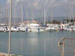 a group of boats docked in a harbor at Gite "villa lou félibre" in Vic-la-Gardiole +14 photos