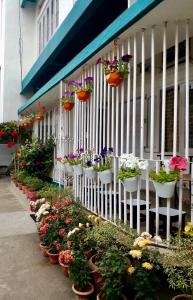 a row of potted plants on the side of a building at Namaskar Lodge and Homestay in Guwahati