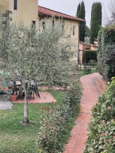 Zahrada ubytování residence San miniato