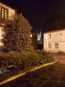 una calle por la noche con un árbol y un edificio en Alameda Rooms Santiago, en Santiago de Compostela