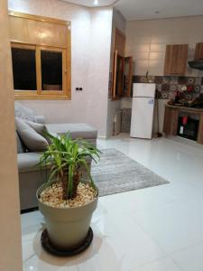 卡薩布蘭卡的住宿－Joli appartement Casablanca ain sebaa，坐在客厅地板上的盆栽植物