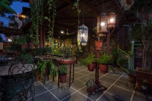 Zahrada ubytování Jaipur Inn